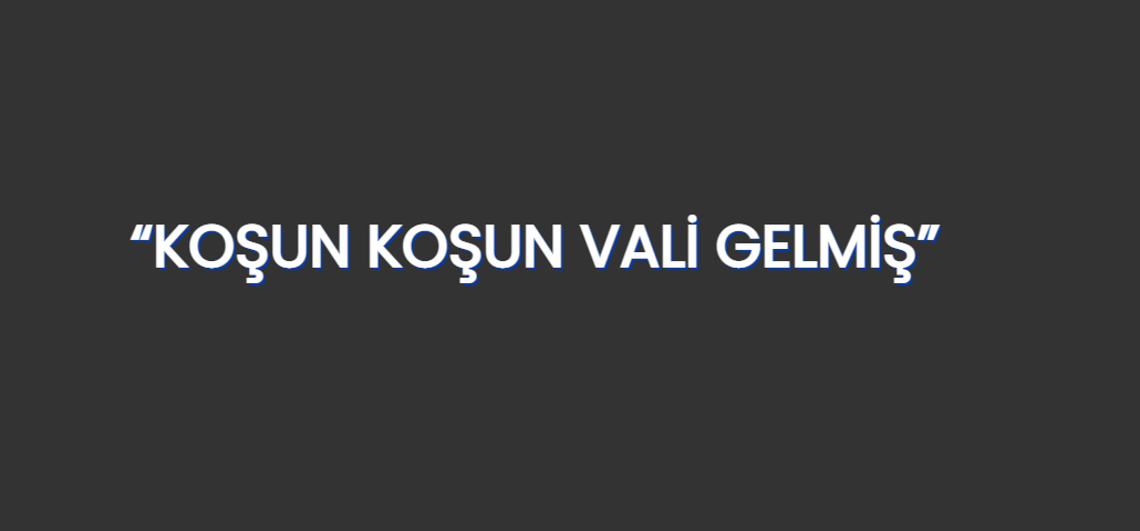 “KOŞUN KOŞUN VALİ GELMİŞ”
