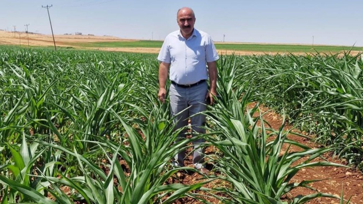 DEVA Partisi Adıyaman İl Başkanı Mehmet Anaç’tan Tütün Firmalarına Eleştiri