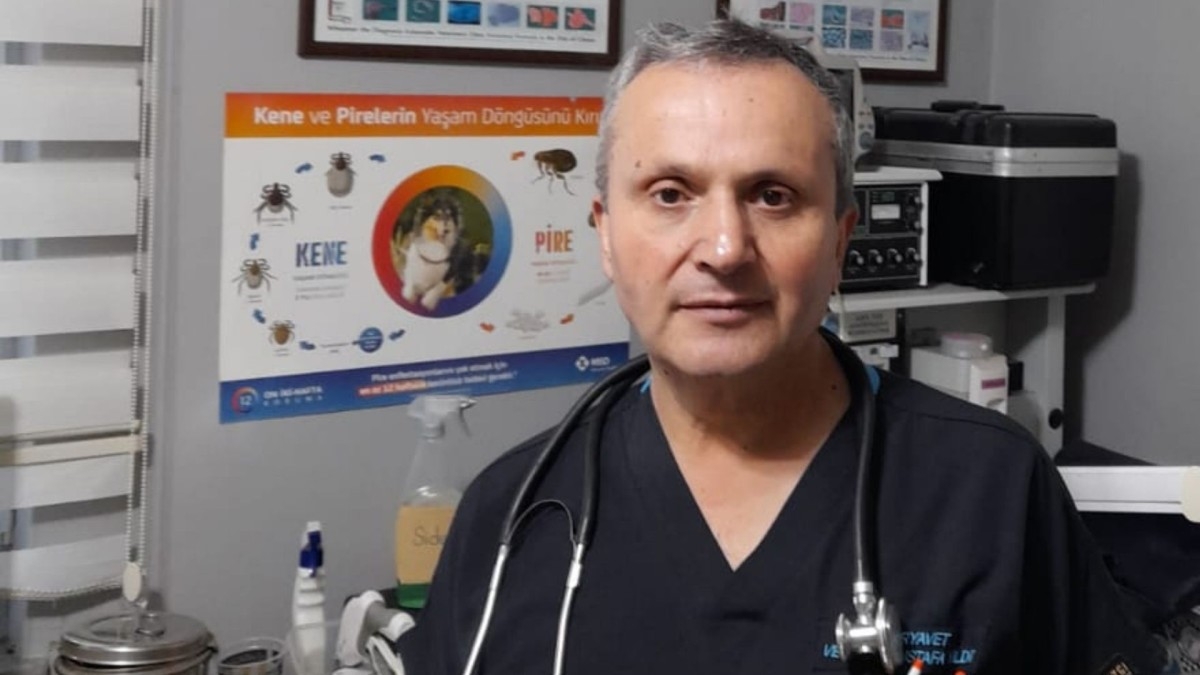 Uzman İsimden Vatandaşlara Kurban Bayramı Tavsiyeleri