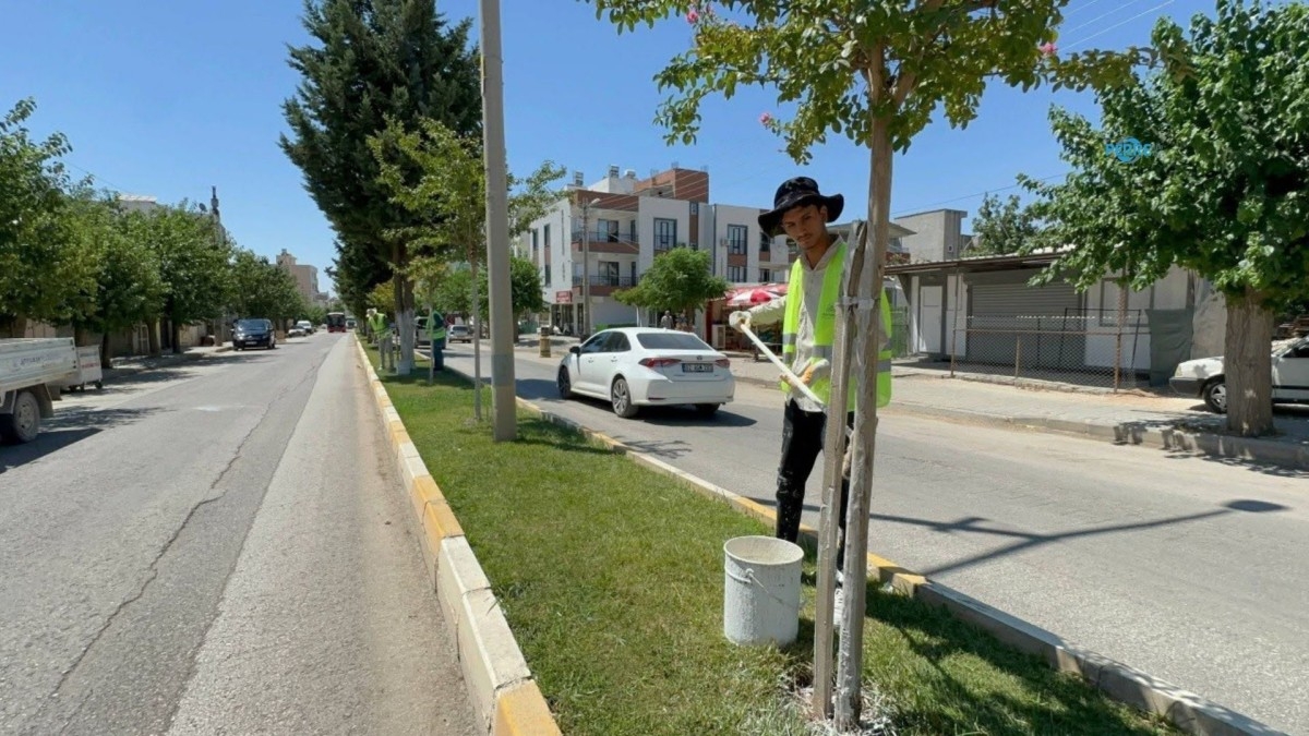 Adıyaman Belediyesi Ekipleri Ağaçların Sağlığı İçin Çalışıyor - Videolu Haber
