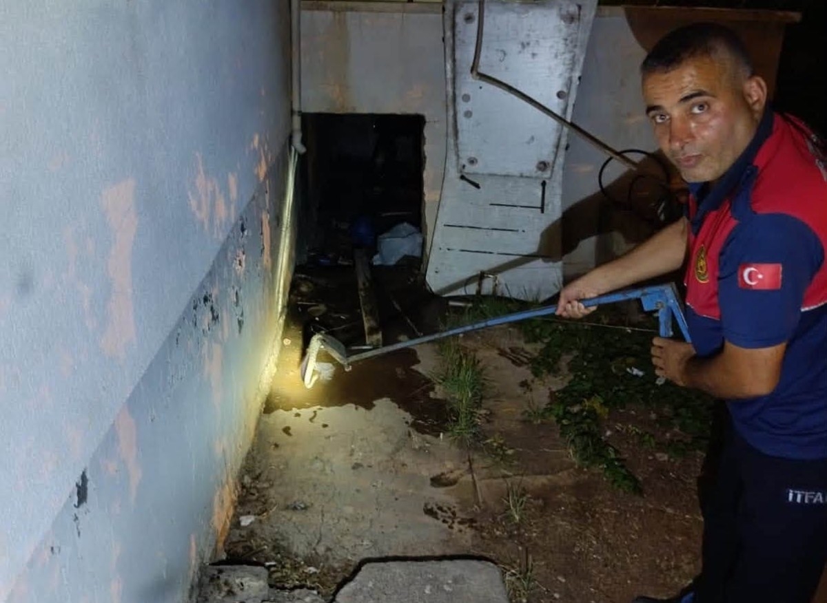 Yılan Paniği Kısa Sürdü!
İtfaiye Ekipleri Müdahale Etti