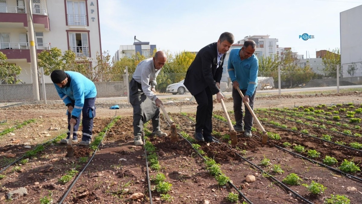 Adıyaman’da Halkın Sofrasına Belediye Desteği  -  Videolu Haber